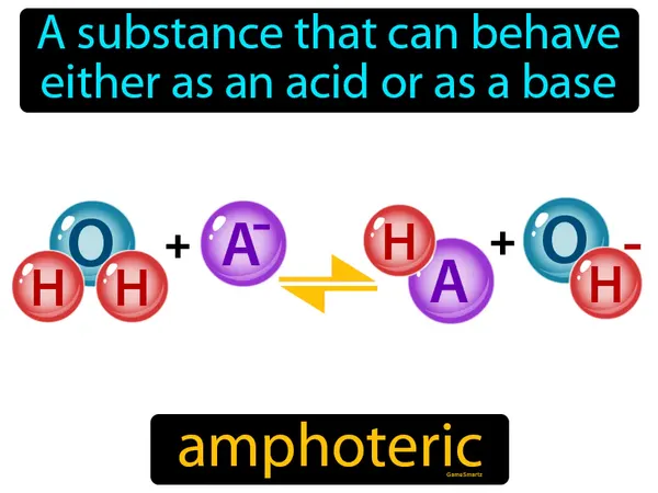 a substance that can behave either as an acid or as a base