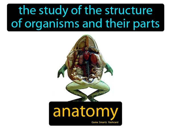 The study of the structure of organisms and their parts