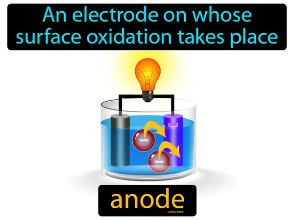 an electrode on whose surface oxidation takes place