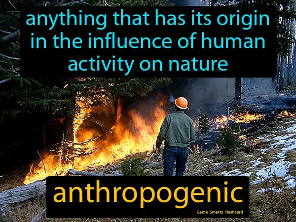 Anything that has its origin in the influence of human activity on nature