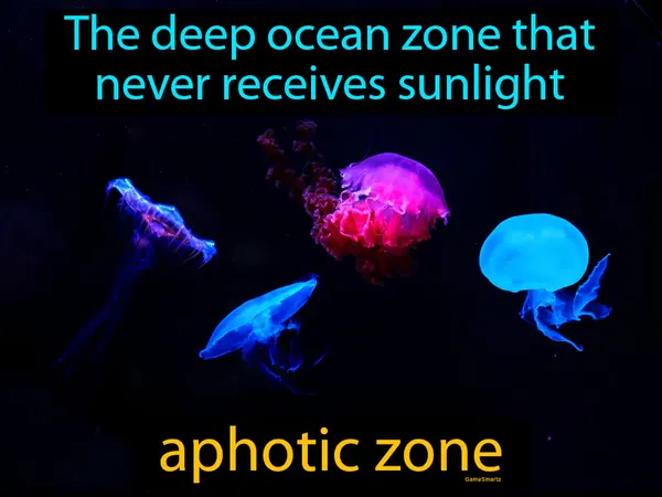 the deep ocean zone that never receives sunlight