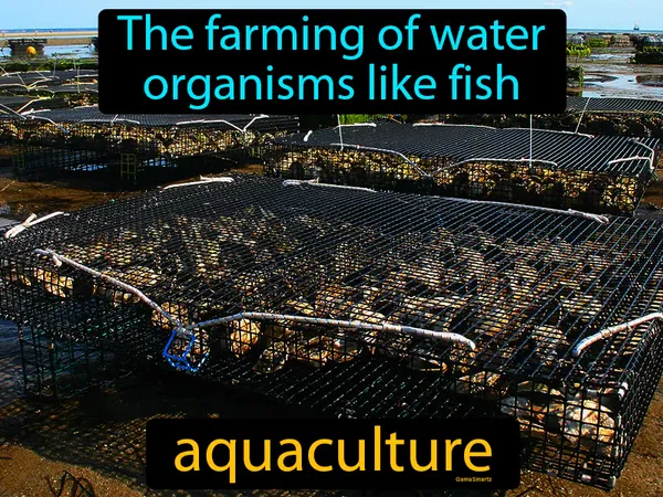the farming of water organisms like fish