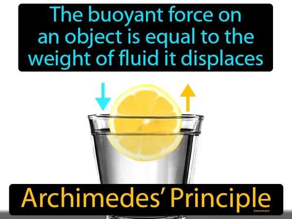 the buoyant force on an object is equal to the weight of fluid it displaces