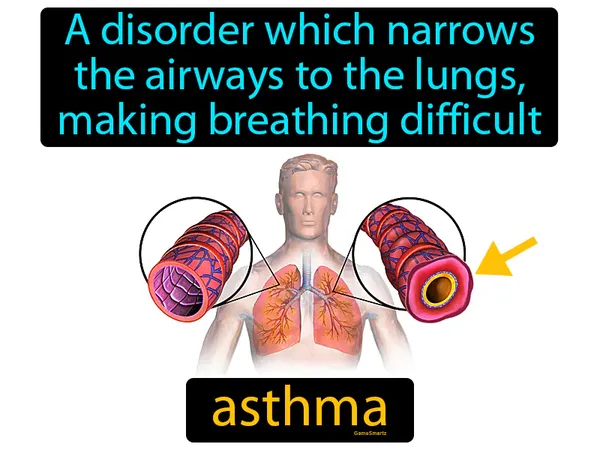 a disorder which narrows the airways to the lungs, making breathing difficult