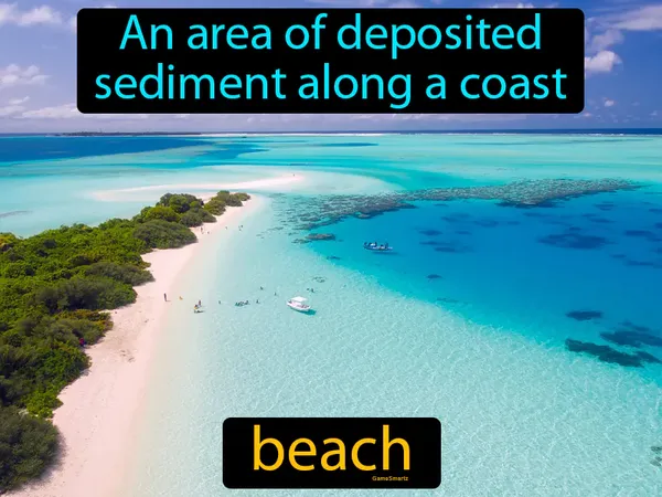 an area of deposited sediment along a coast