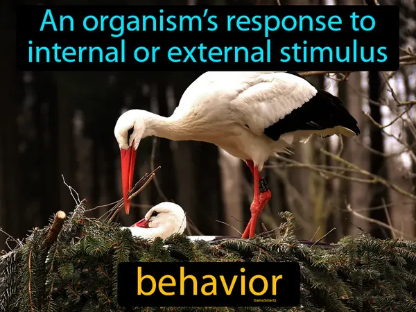 an organism’s response to internal or external stimulus