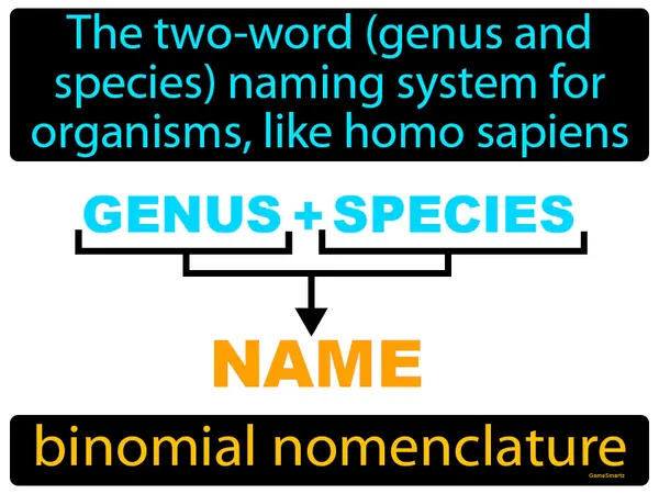 The two-word (genus and species) naming system for organisms, like homo sapiens