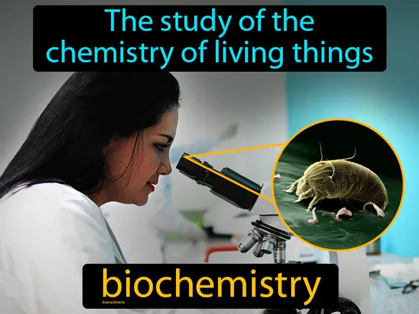 the study of the chemistry of living things
