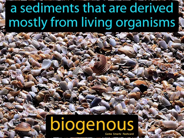 A sediments that are derived mostly from living organisms
