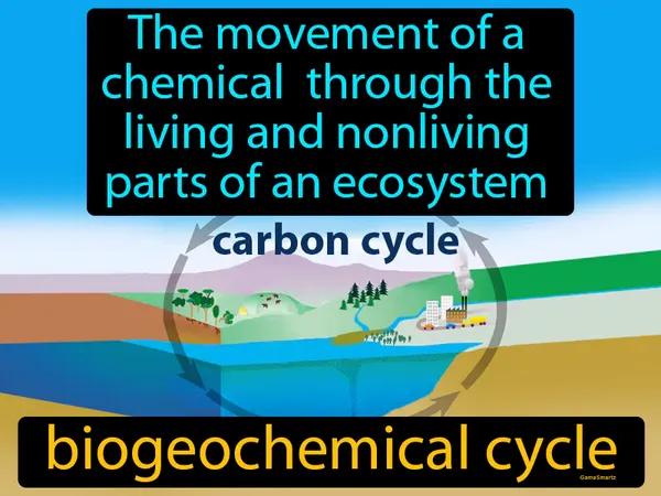 The movement of a chemical through the living and nonliving parts of an ecosystem