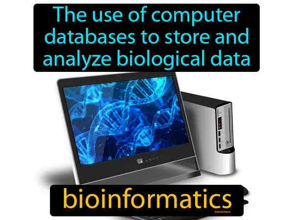 the use of computer databases to store and analyze biological data