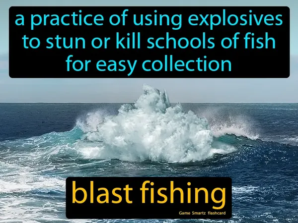 A practice of using explosives to stun or kill schools of fish for easy collection