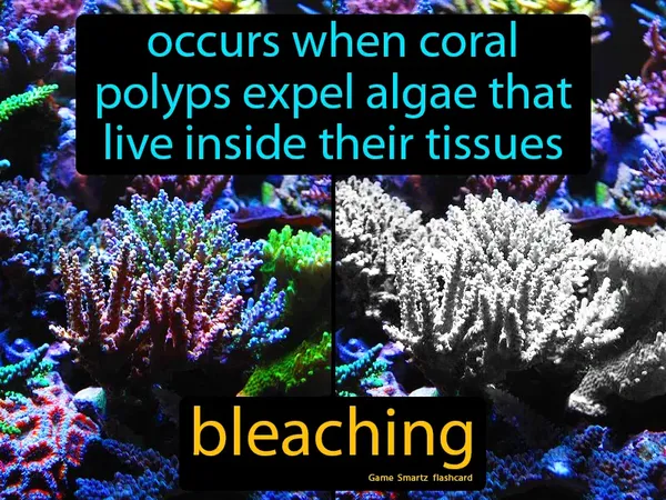 Occurs when coral polyps expel algae that live inside their tissues