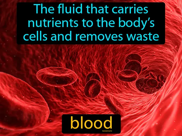 the fluid that carries nutrients to the body’s cells and removes waste