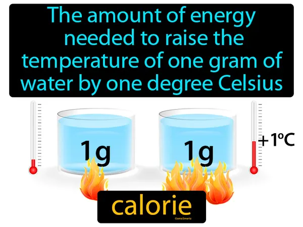 a unit of heat used to measure the energy content of food, a calorie is the amount of heat required to raise the temperature of 1 g of water by 1°C