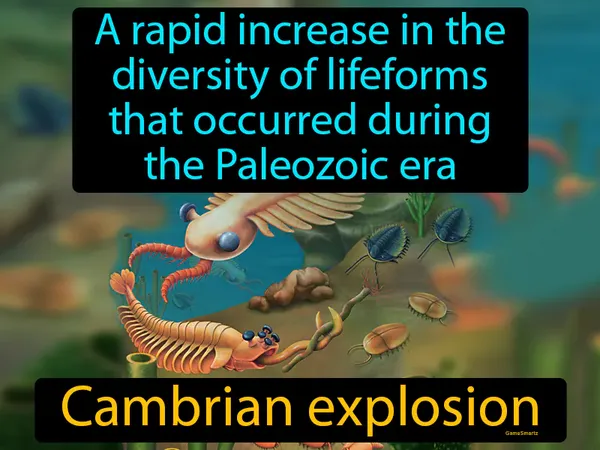 a rapid increase in the diversity of lifeforms that occurred during the Paleozoic era
