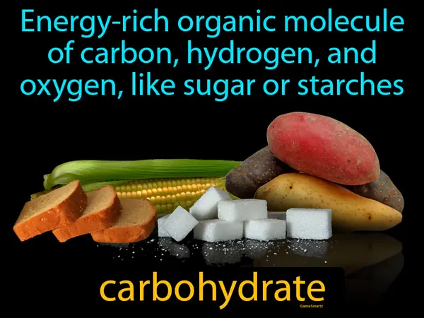 an energy-rich organic molecule of carbon, hydrogen, and oxygen, like sugar or starches