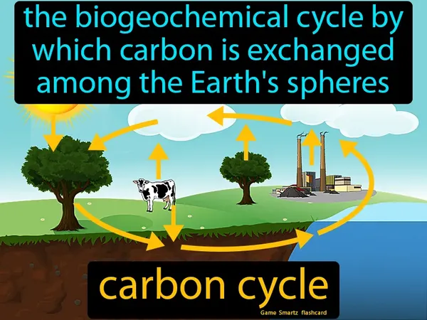 The biogeochemical cycle by which carbon is exchanged among the Earth's spheres