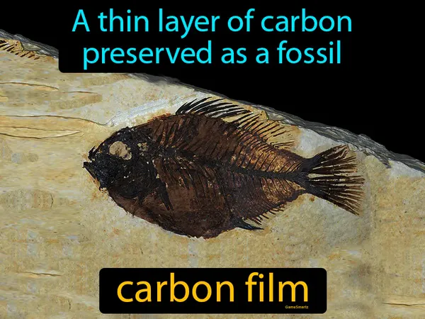 a thin layer of carbon preserved as a fossil