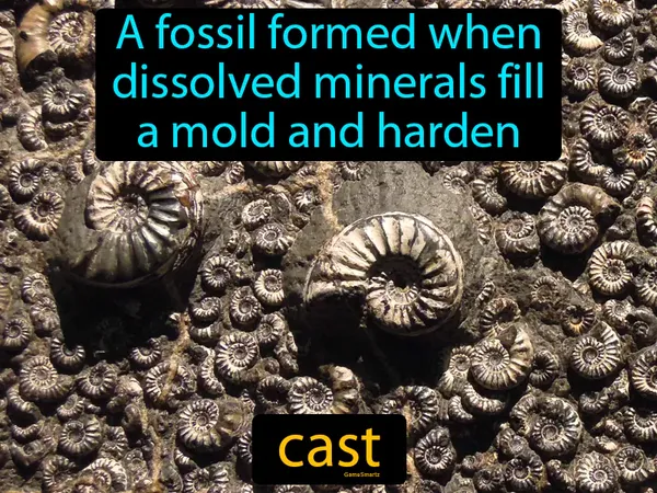a fossil formed when dissolved minerals fill a mold and harden