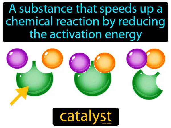 a substance that speeds up a chemical reaction by reducing the activation energy