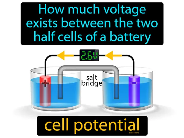 how much voltage exists between the two half cells of a battery