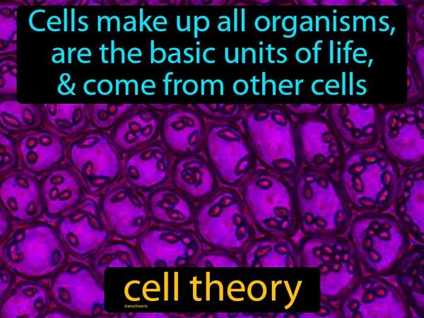 cells make up all organisms, are the basic units of life, and come from other cells