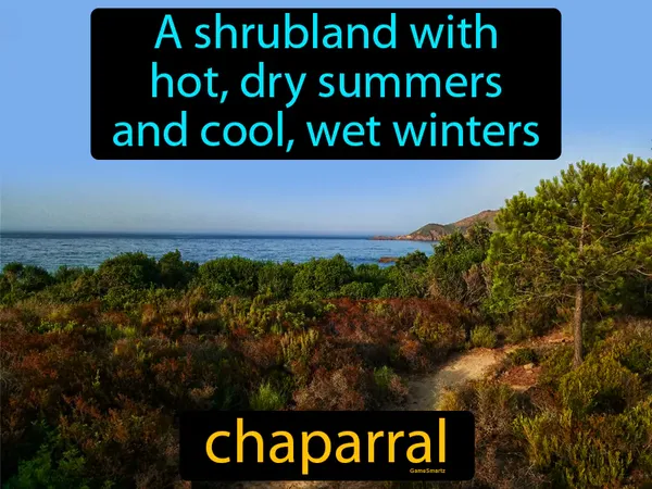 a shrubland with hot, dry summers and cool, wet winters, it is also known as Mediterranean shrubland