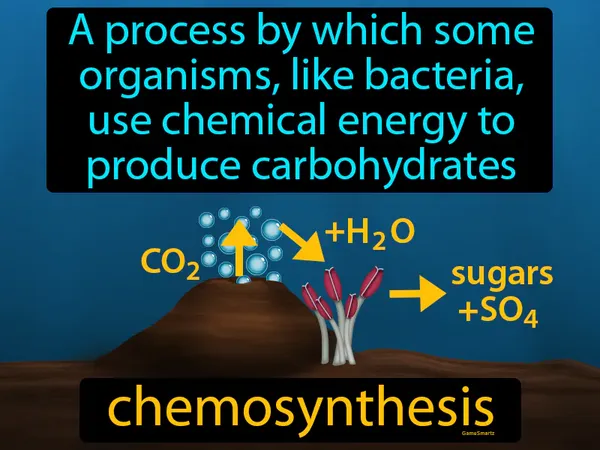 a process by which some organisms, like bacteria, use chemical energy to produce carbohydrates