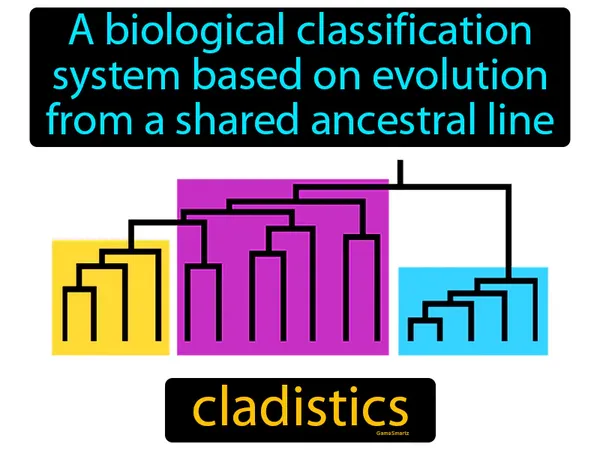 a biological classification system based on evolution from a shared ancestral line