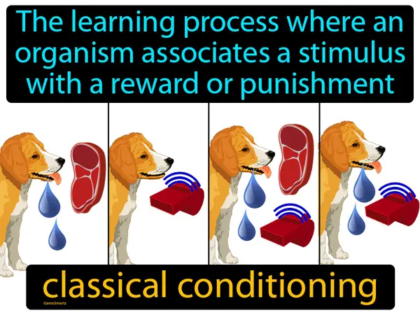the learning process where an organism associates a stimulus with a reward or punishment
