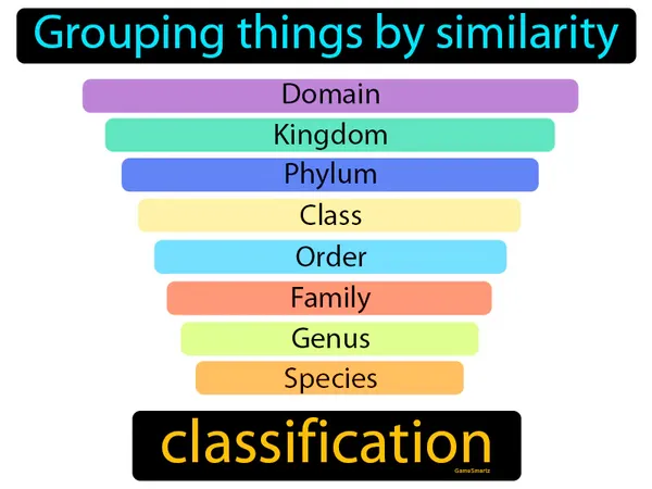 grouping things by similarity