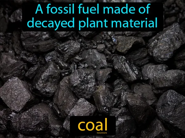 a fossil fuel made of decayed plant material