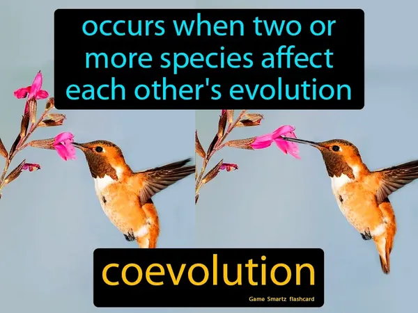 Occurs when two or more species affect each other's evolution