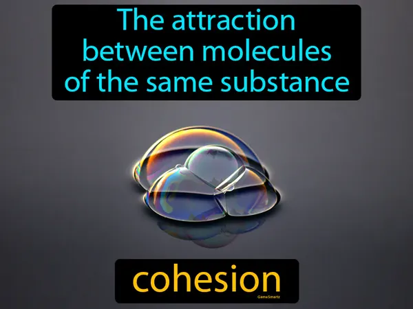 the attraction between molecules of the same substance
