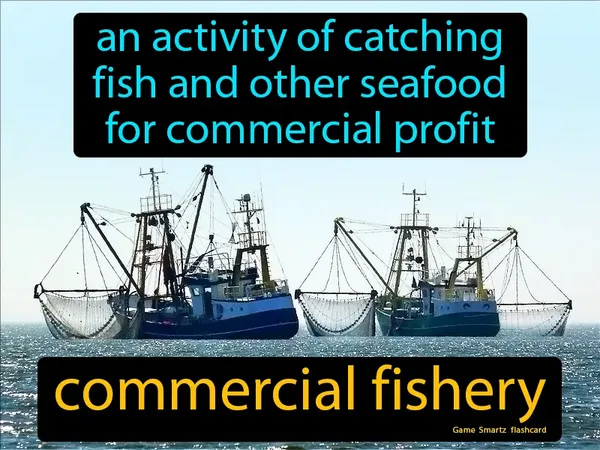 An activity of catching fish and other seafood for commercial profit