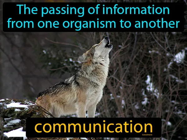 the passing of information from one organism to another