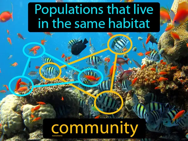 populations that live in the same habitat