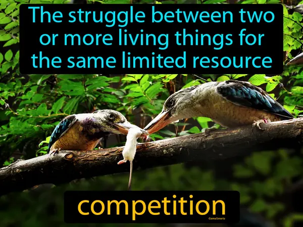 the struggle between two or more living things for the same limited resource