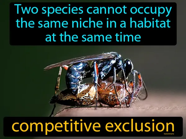 two species cannot occupy the same niche in a habitat at the same time