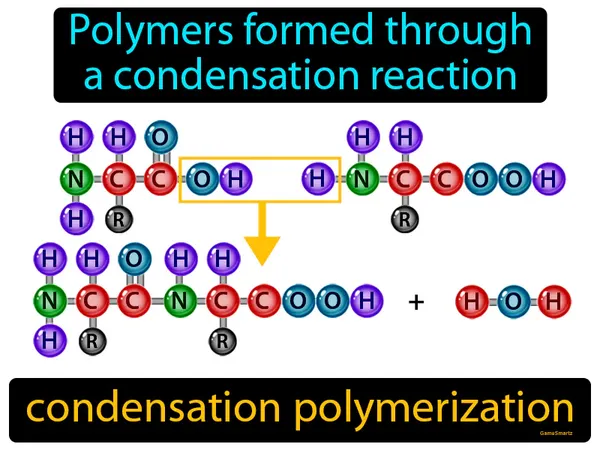 polymers formed through a condensation reaction