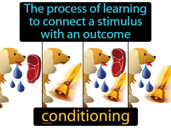 the process of learning to connect a stimulus with an outcome