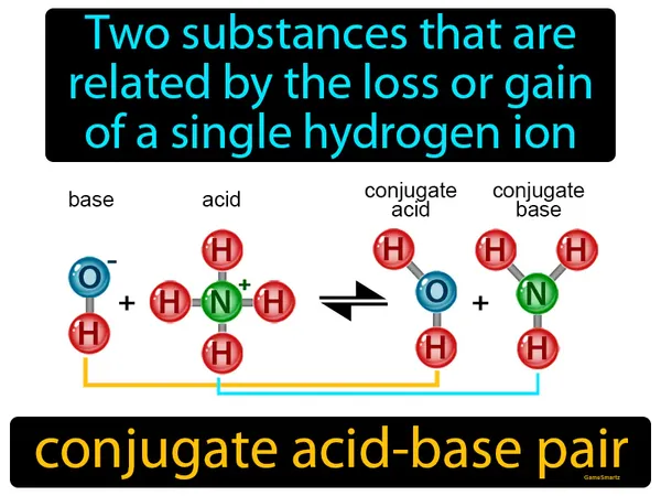 two substances that are related by the loss or gain of a single hydrogen ion