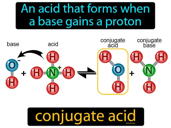 an acid that forms when a base gains a proton