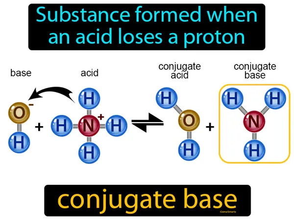 substance formed when an acid loses a proton