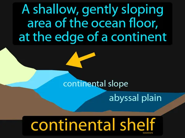 a shallow, gently sloping area of the ocean floor, at the edge of a continent