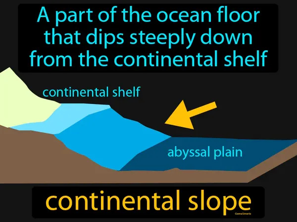 a part of the ocean floor that dips steeply down from the continental shelf