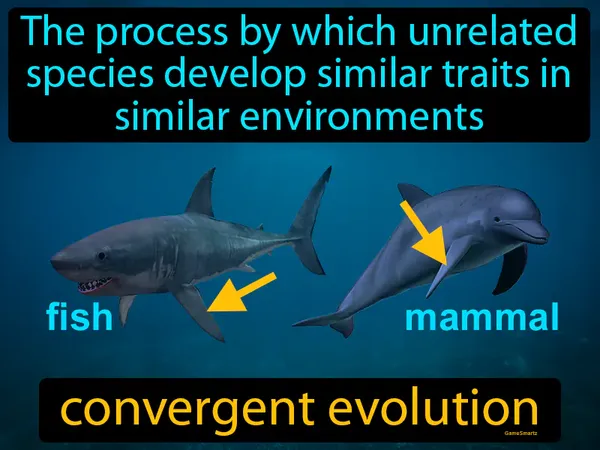 the process by which unrelated species develop similar traits in similar environments