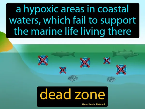A hypoxic areas in coastal waters, which fail to support the marine life living there