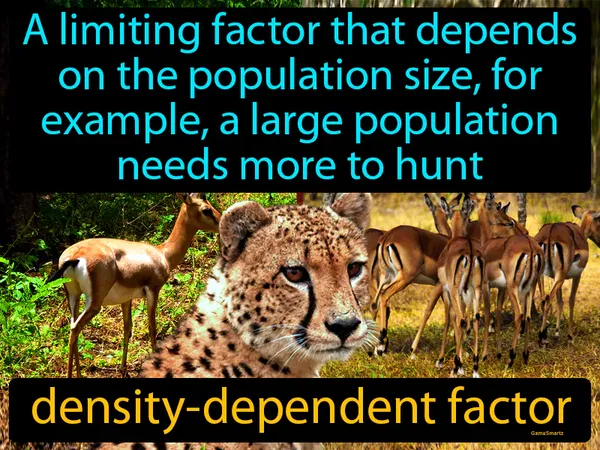 a limiting factor that depends on the population size, for example, a large population needs more to hunt